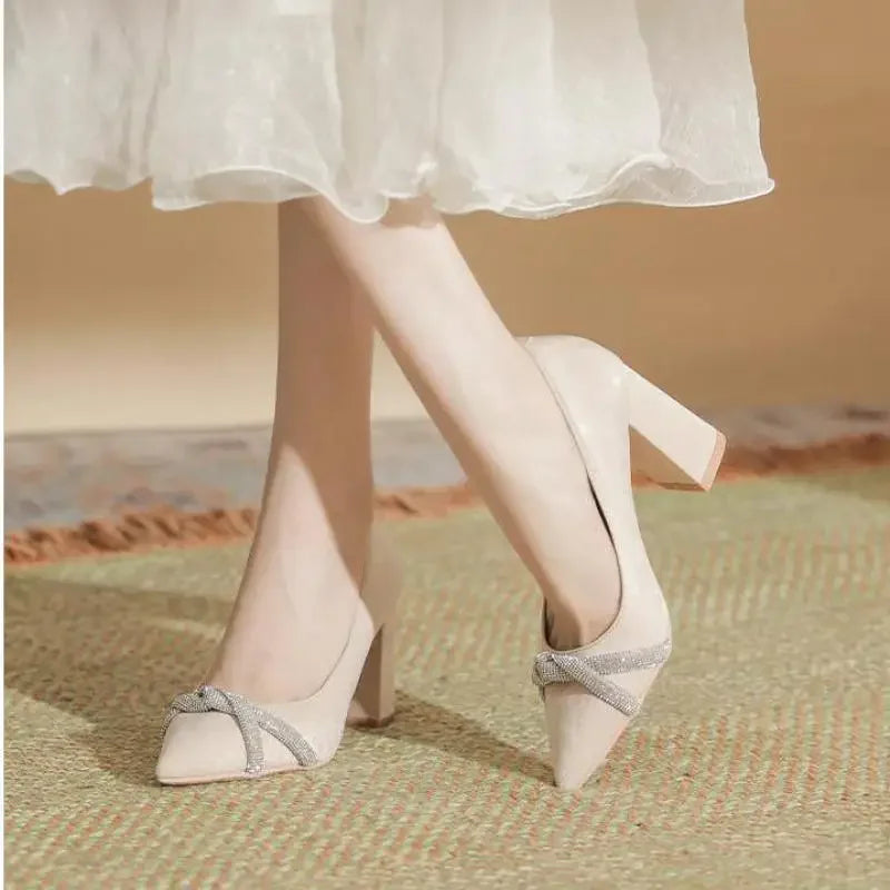 Chunky Heel Pointed Toe Rhinestone Suede High-heeled Shoes Women Block Heel Pumps LADYLYS