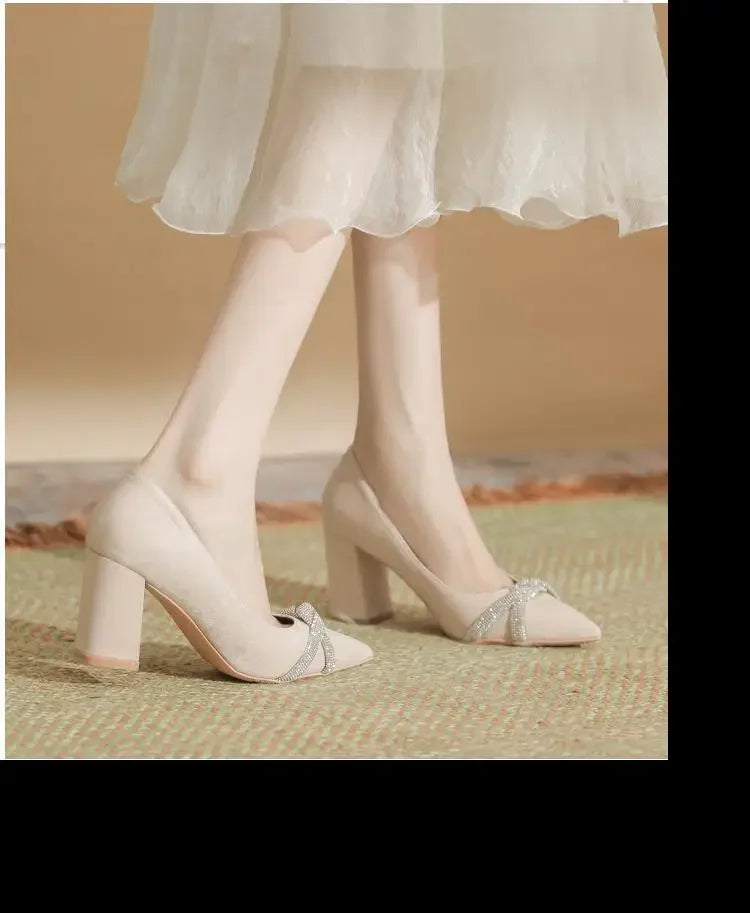 Chunky Heel Pointed Toe Rhinestone Suede High-heeled Shoes Women Block Heel Pumps LADYLYS