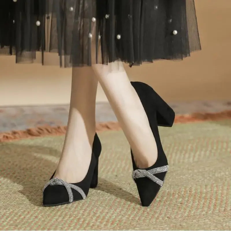 Chunky Heel Pointed Toe Rhinestone Suede High-heeled Shoes Women Block Heel Pumps LADYLYS